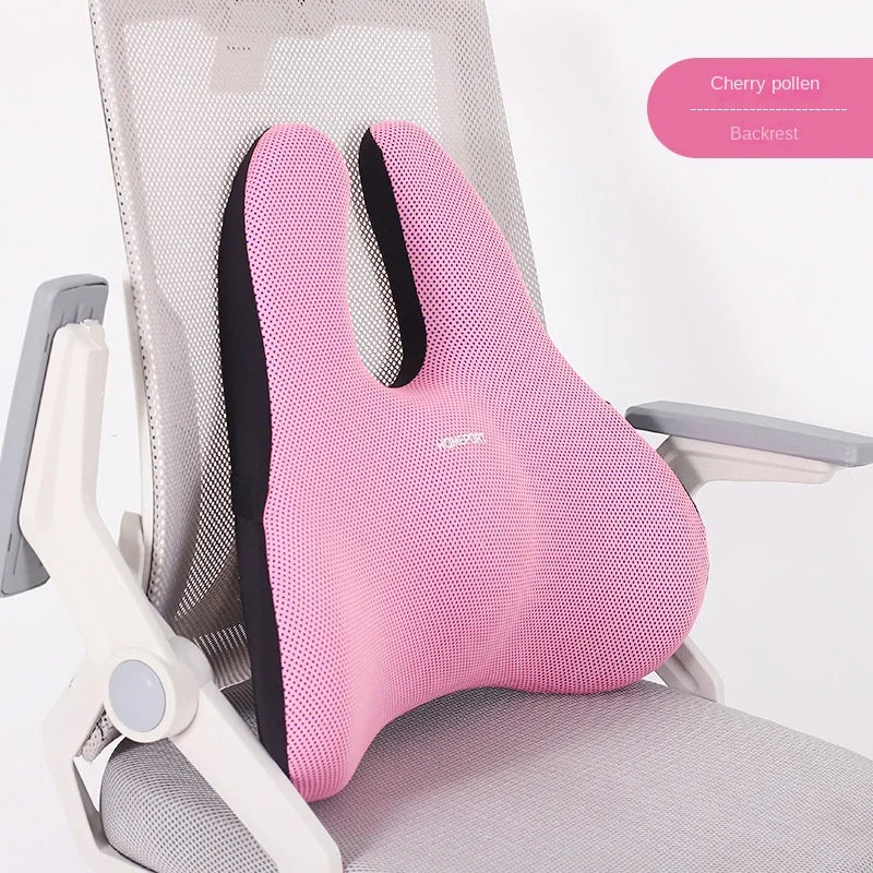 ZDRA SitWell™ – Orthopedic Memory Foam Seat Cushion for Tailbone & Back Relief