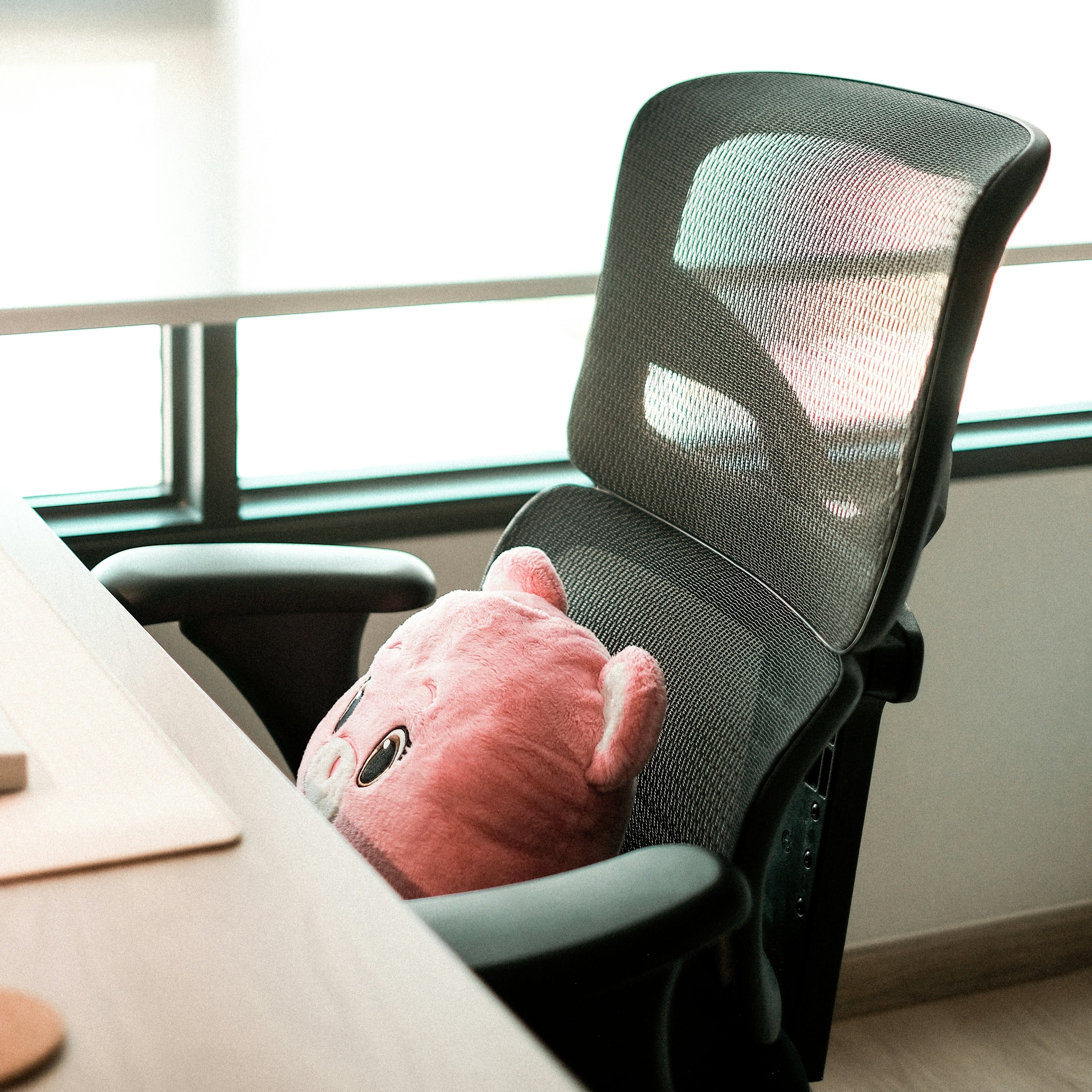 Work & Study Comfort